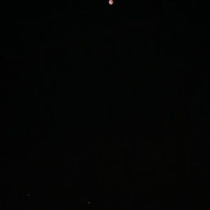 Meet your Posher, Felix